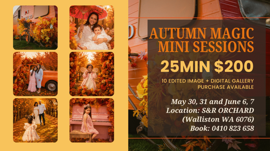 Autumn Mini Sessions Book here