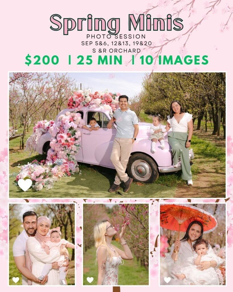 S & R Orchard Spring Minis (1080 x 1350 px) Book Spring Minis here